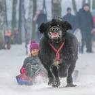 А на шее у нее - огниво pic