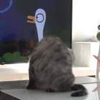 "котогусь"