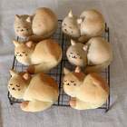 Пироги с котятами pic