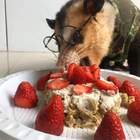 "Одев очки увидел я: здесь нету мяса ни х@я"