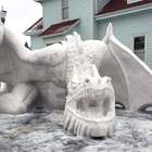 "Обледенел в верхних слоях атмосферы и шлепнулся"