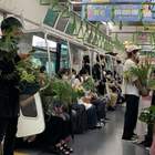 "Открыли дачный сезон"
