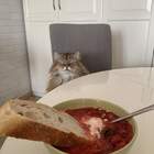 "И как тебе только кусок в горло лезет, холоп?"