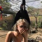 "Вместо шапки на ходу она надела какаду"