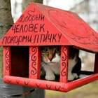 "Добрый человек, покорми птичкой."