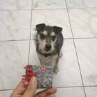 "Скоро ты об этом пожалеешь."