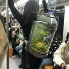 "Рыбку выгуливает."