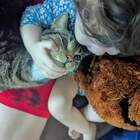 "-Папа, купи нового кота! Живого!!!"