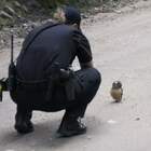 "Ну привет, Напарник."