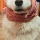 "Алёнушка."