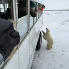 "Же не манж па сим жур!"
