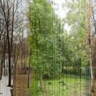 "Работа эстонского фотографа."