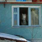 "Какая там погода? Подковы какие надеть?"