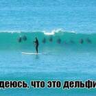 "Девочки, чур мне ножку!"