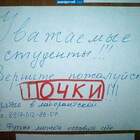 "А Васька клялся, что свиные, в сметане тушеные..."