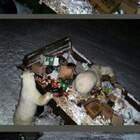 ну как так то... я же помню как того мужика тут припрятал... pic