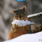 Мороженка!!! pic
