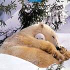 мамочка... pic