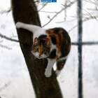 мир падает или я ?!! pic