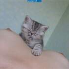 С какой начать ? pic