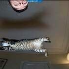 я лечу pic