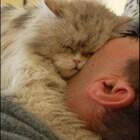 любоффф pic