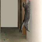 А сюда мы полку за%беним... pic
