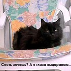 а за очко не боисси? pic