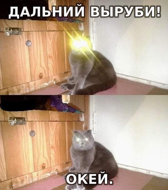 Кот энергетика