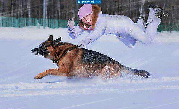 Спокойно-о-о-о! Я его держу-у-у-у-у-у!!