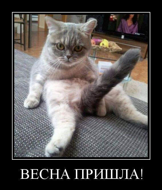 У меня по утрам тоже так.