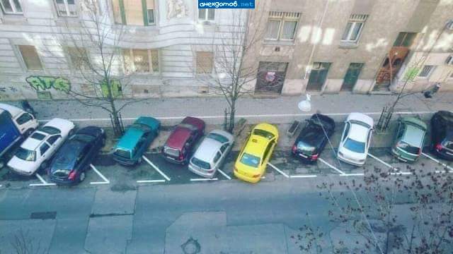 Городские олени