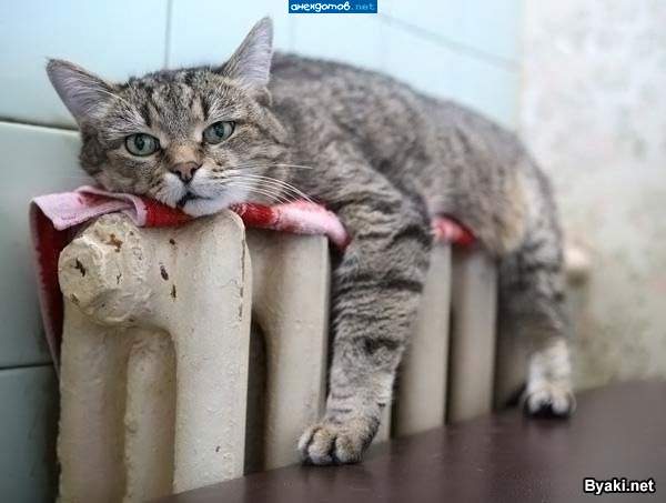 Тут и буду ждать весну