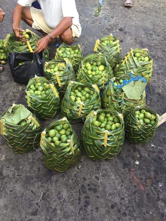 Экопакеты