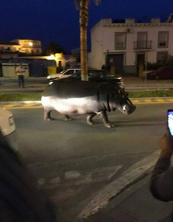 Пришел прорядить идиотов, понял что опоздал...
