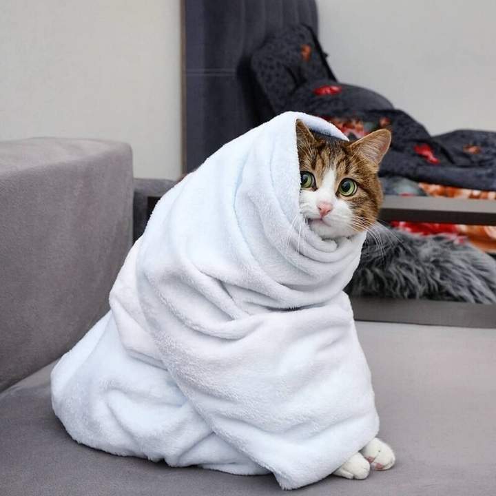 Чё задумали-то? Не дамся!