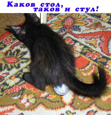 отложил яйца - они уже больше не нужны