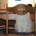 "Где кот? Нет кота!"