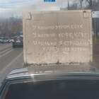 "крик души"