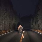 "Морковка есть?... А если найду?!"