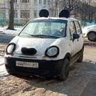 "Тупой ещё тупее"