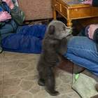 "Мужики, третьим буду! Берёте?"