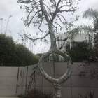 "Дверной глазок"