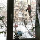 "Мам, на улицу можно? Можно, но чтоб я тебя видела!"