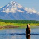 "Давай, заходи. Водичка тепленькая."