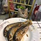 "а мне три тушечки рыбы, три корочки хлеба не надо"