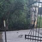 "Он пацан крутой, двери баров-ресторанов открывал ногой."