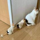 "Котрёшки."