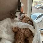"Скучно дома одному, потому я с мишкой сплю."